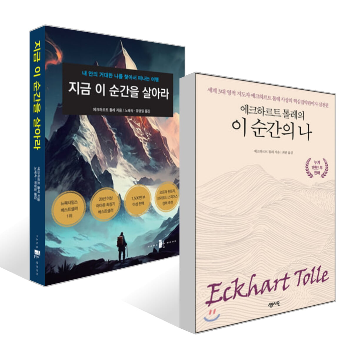 지금 이 순간을 살아라 + 에크하르트 톨레의 이 순간의 나 세트