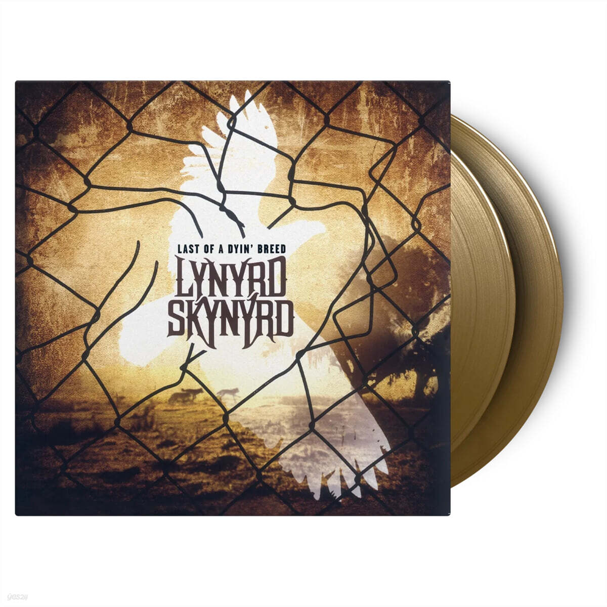 Lynyrd Skynyrd (레너드 스키너드) - Last Of A Dyin' Breed [골드 컬러 2LP]