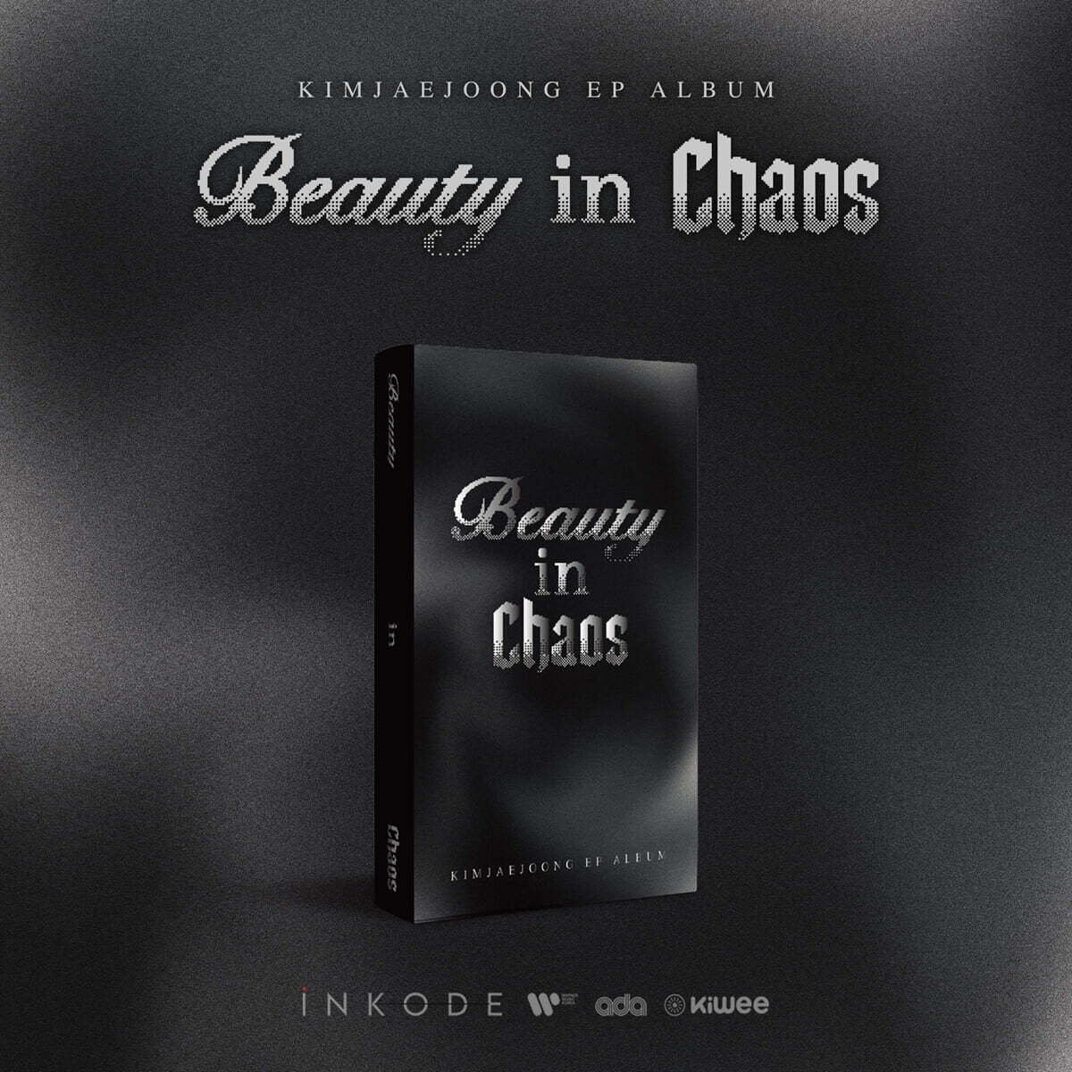 김재중 - Beauty in Chaos [kiwee Ver.]