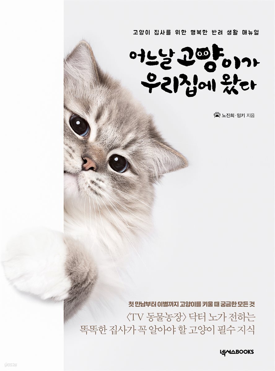 어느날 고양이가 우리집에 왔다