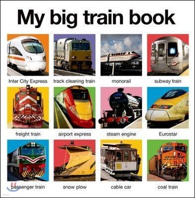 My Big Train Book