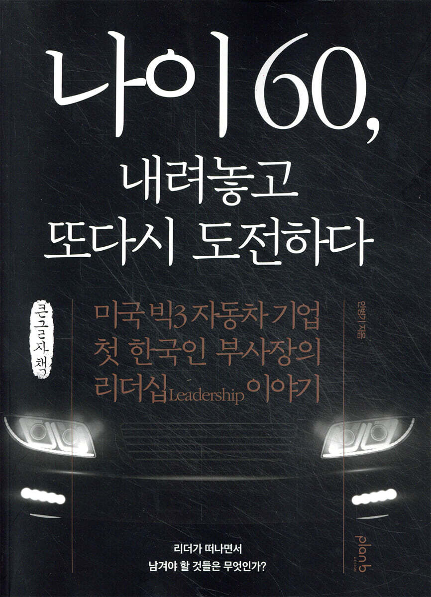 나이 60, 내려놓고 또다시 도전하다 (큰글자책)