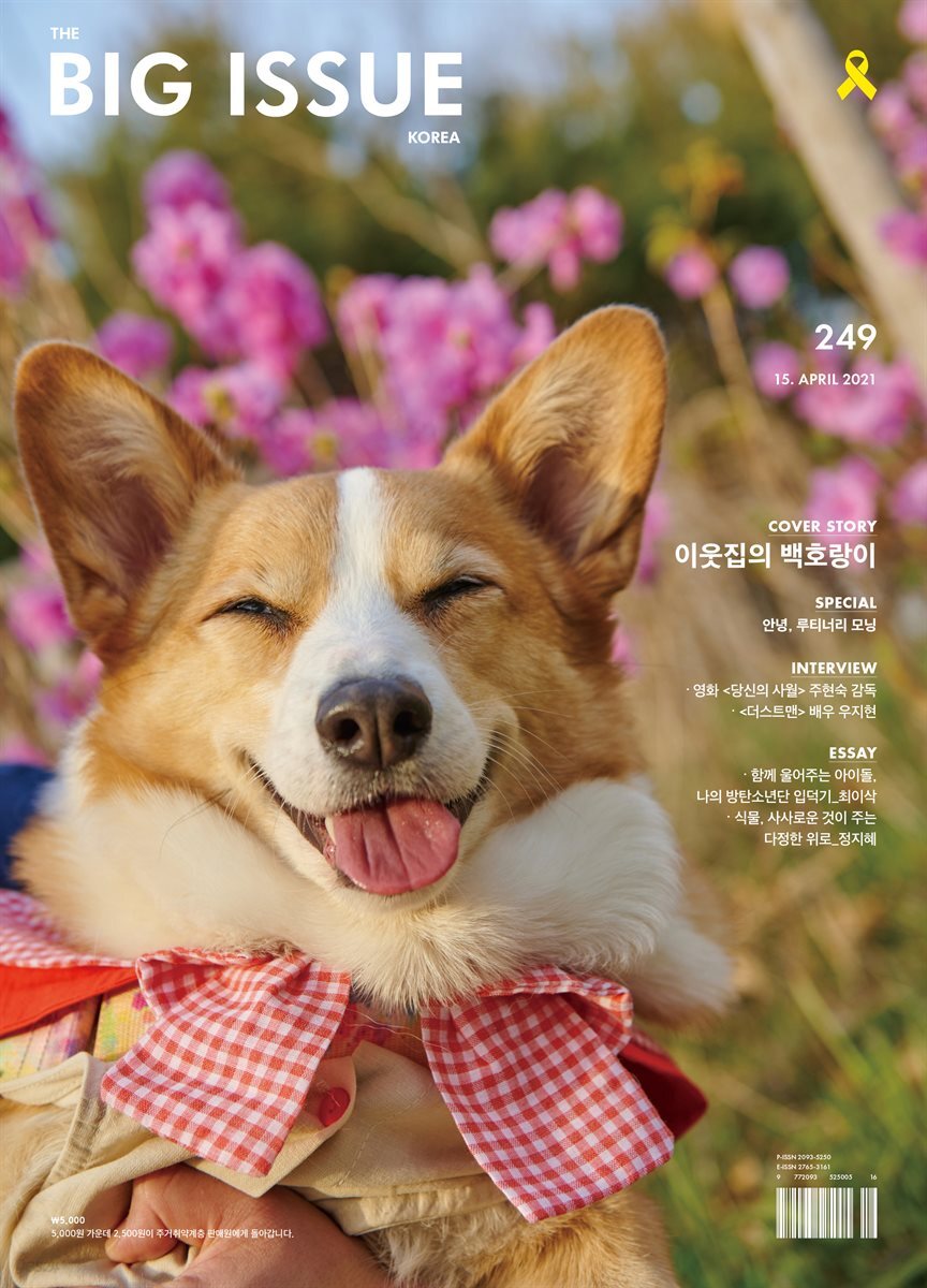 빅이슈코리아 The Big Issue No.249