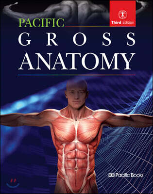 [중고-중] Pacific Gross Anatomy 해부학