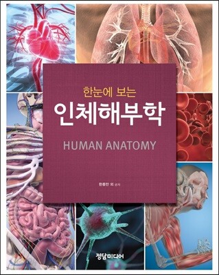 [중고-중] 한눈에 보는 인체해부학