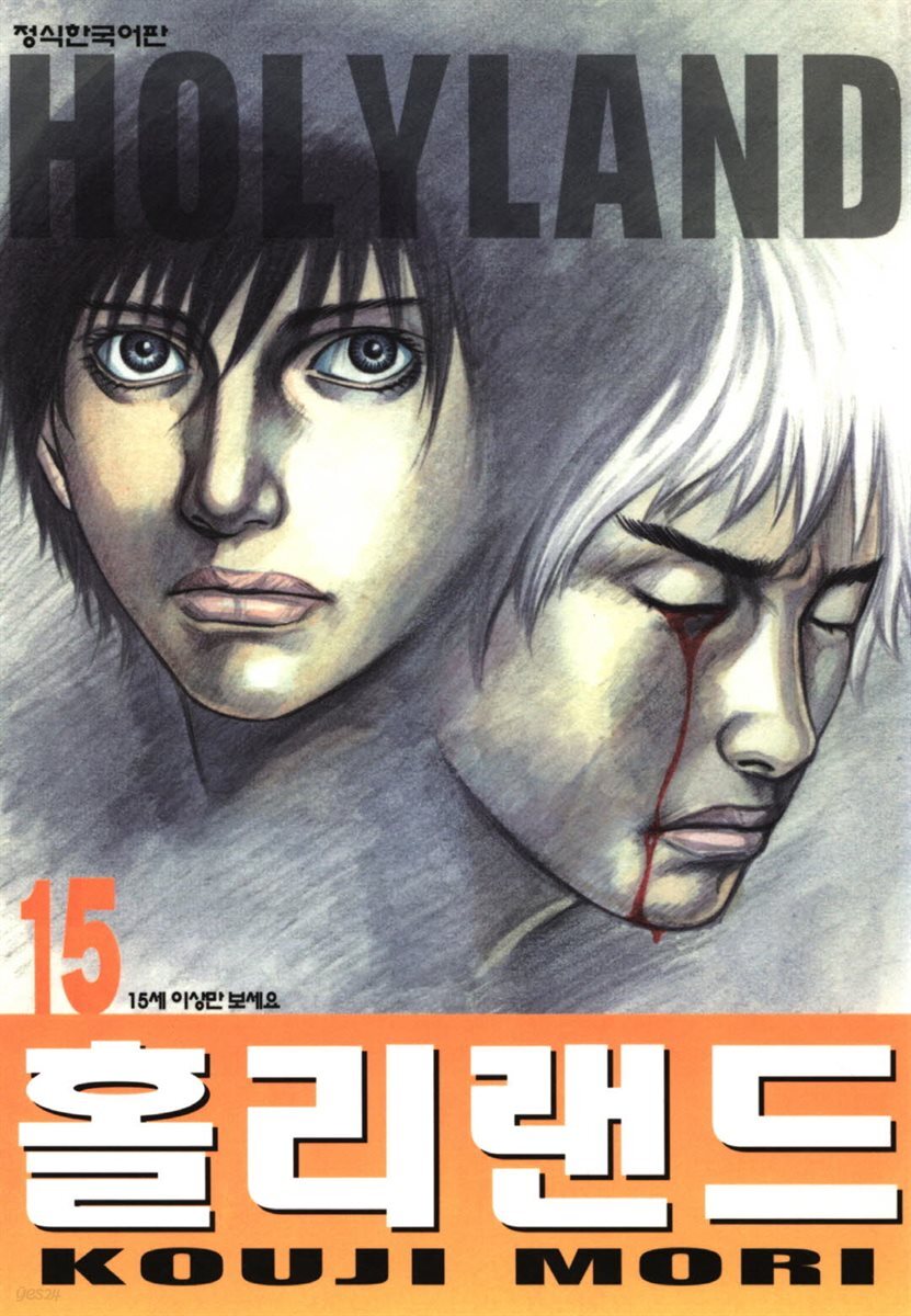 홀리랜드 15권