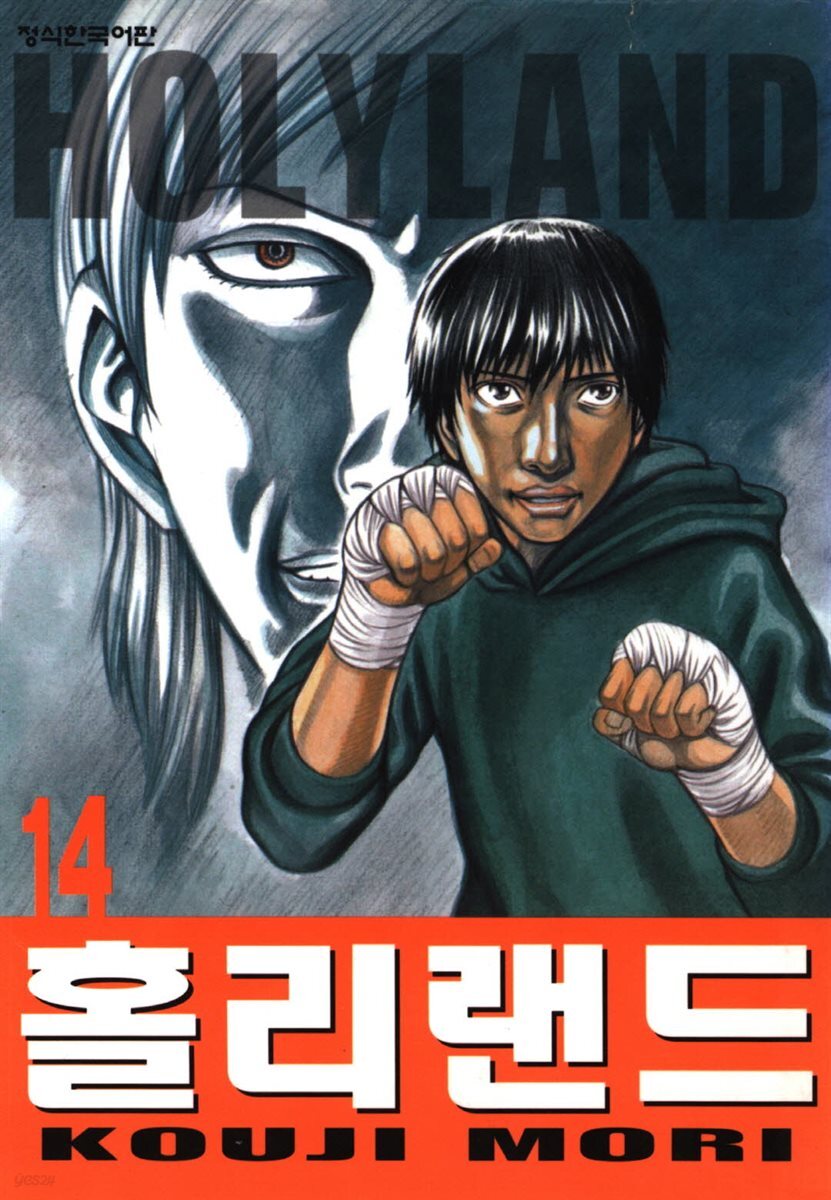 홀리랜드 14권
