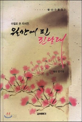 월산에 핀 진달래