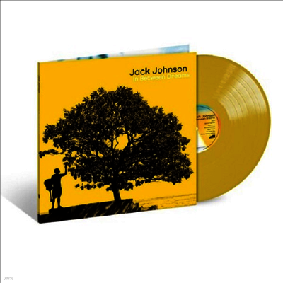 Jack Johnson — In Between Dreams 앨범 커버