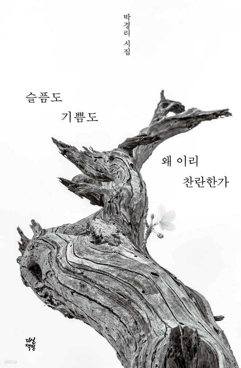 슬픔도 기쁨도 왜 이리 찬란한가