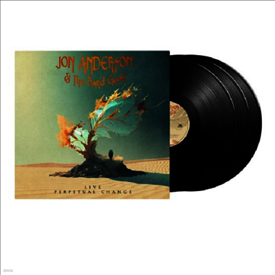 Jon Anderson & the Band Geeks — Live - Perpetual Change 앨범 커버