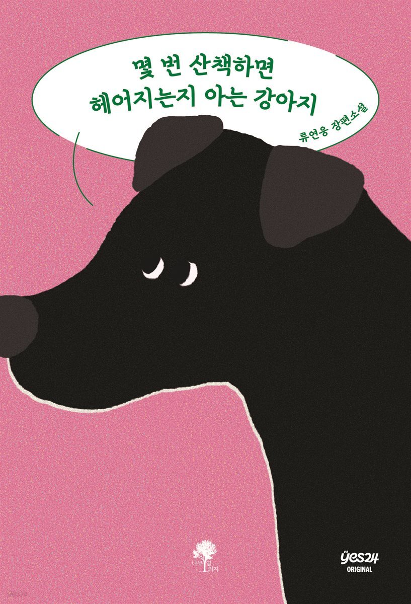 몇 번 산책하면 헤어지는지 아는 강아지