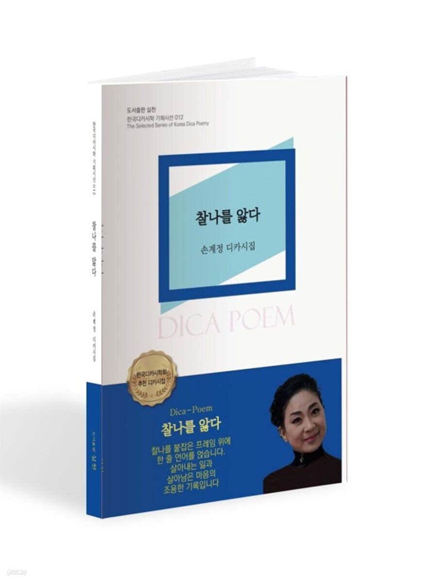 찰나를 앓다