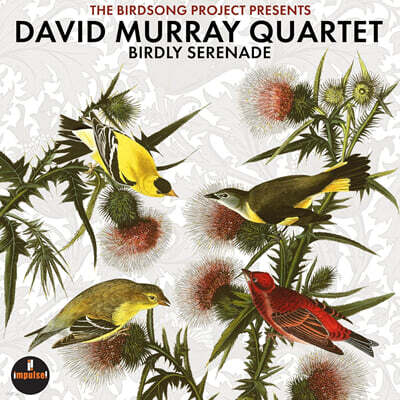 David Murray Quartet (데이빗 머레이 쿼텟) - Birdly Serenade