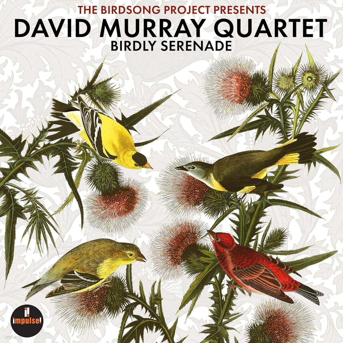 David Murray Quartet (데이빗 머레이 쿼텟) - Birdly Serenade [2LP]