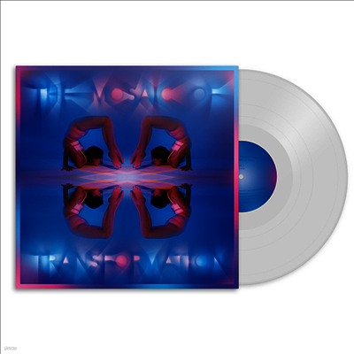 Kaitlyn Aurelia Smith — The Mosaic Of Transformation 앨범 커버