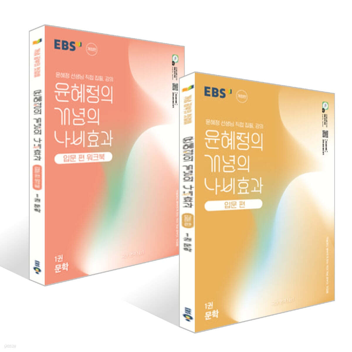 EBS 윤혜정의 개념의 나비효과 입문 편 1권 문학 + 워크북 세트 (2026년용)