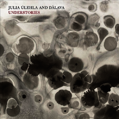 Julia Ulehla — Understories 앨범 커버