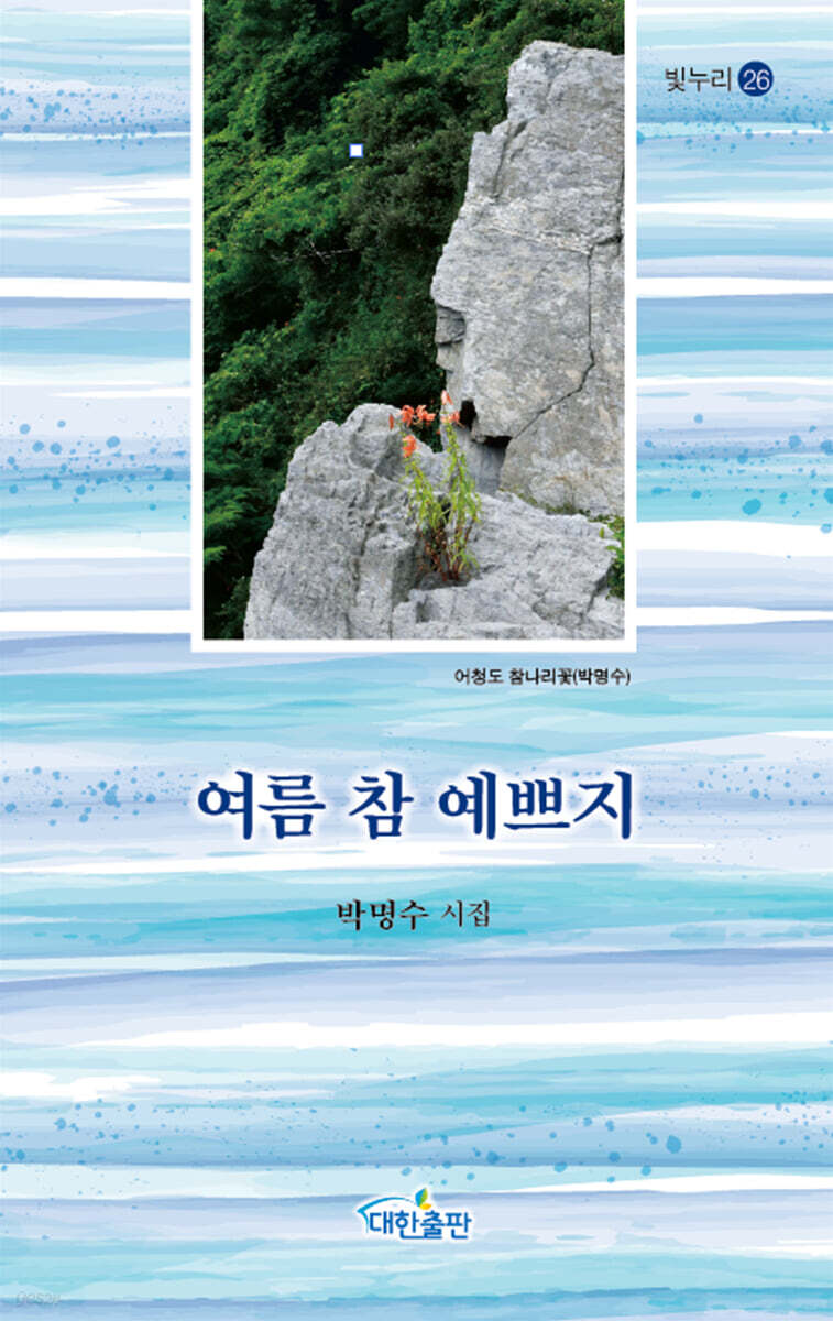 여름 참 예쁘지
