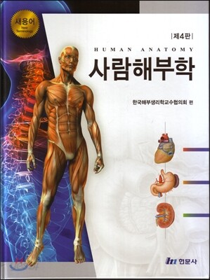 새용어 사람해부학
