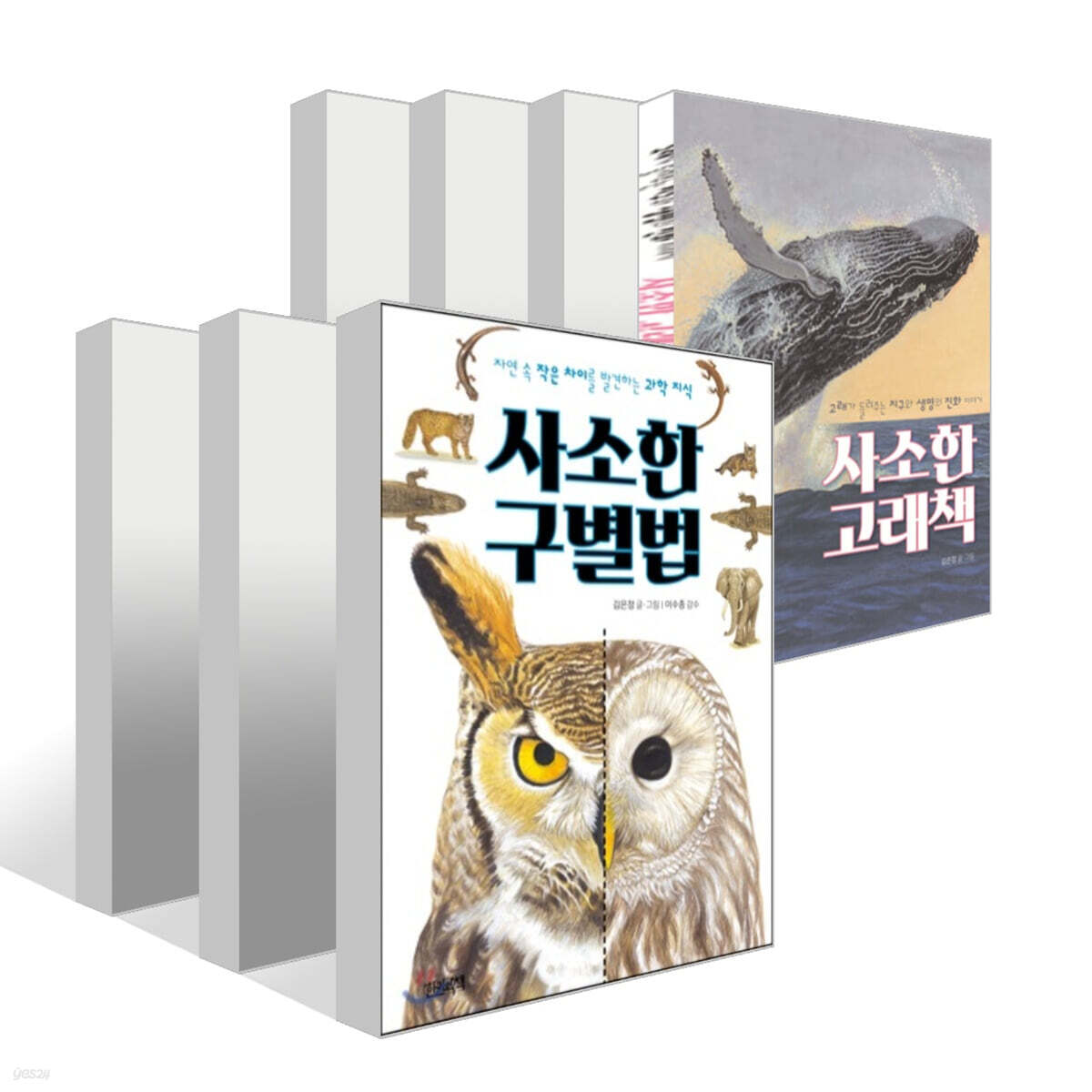 사소한 과학 시리즈 7권 세트