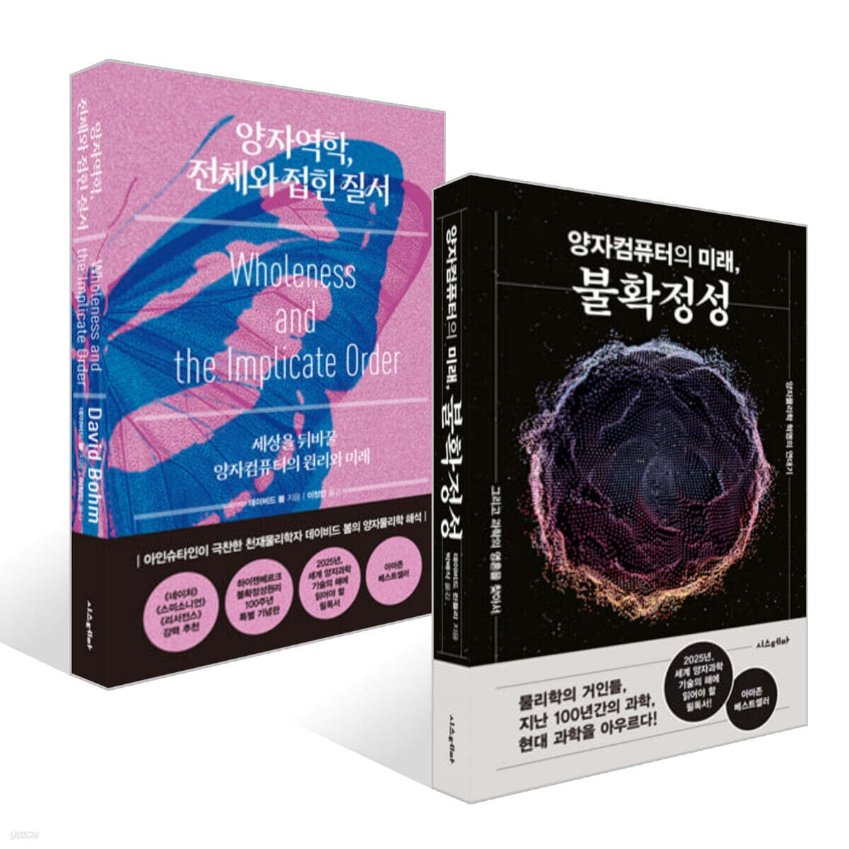 양자컴퓨터의 미래, 불확정성 + 양자역학, 전체와 접힌 질서 세트