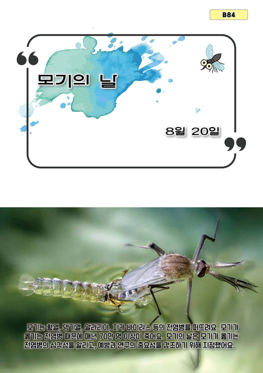 모기의 날