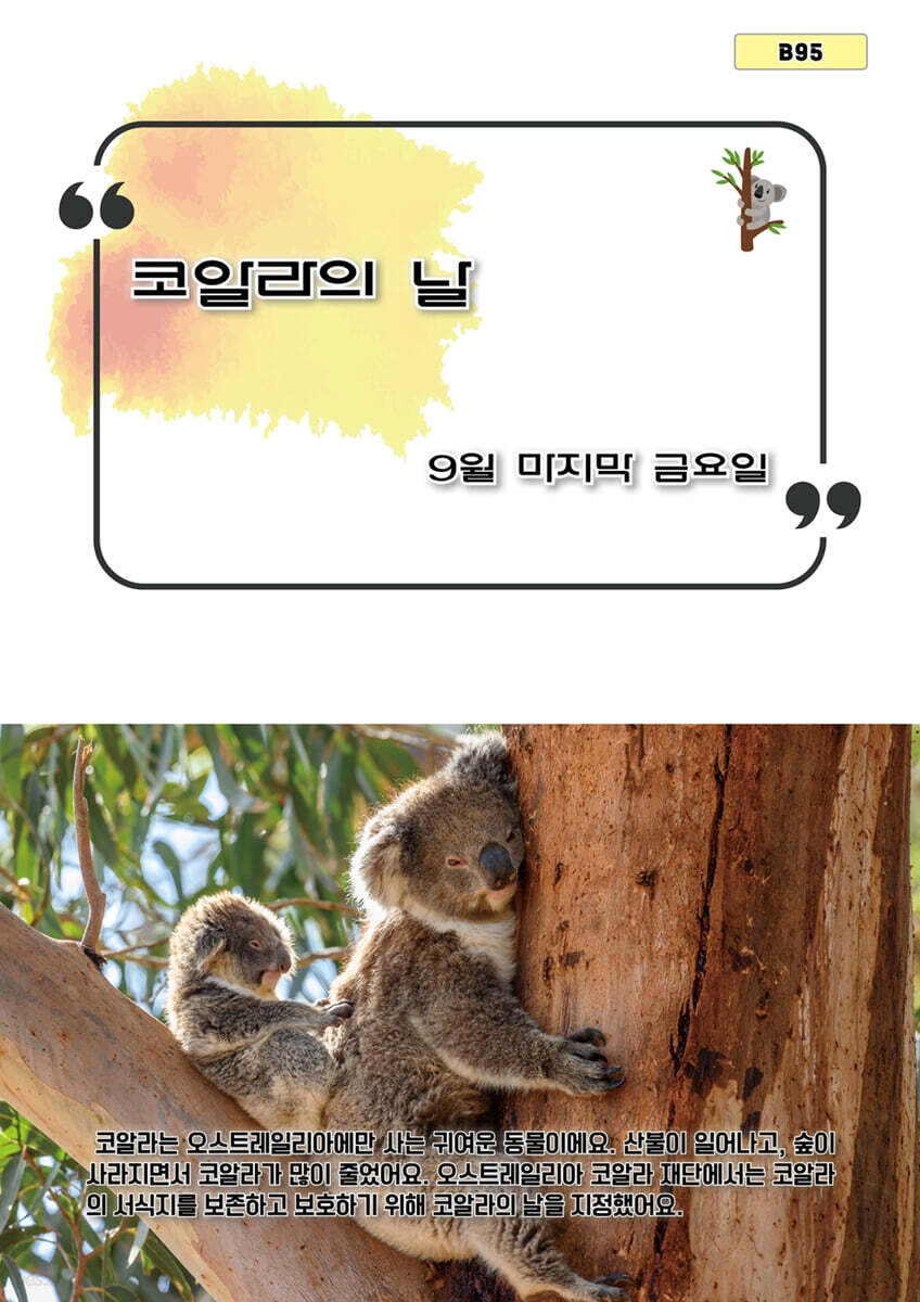 코알라의 날