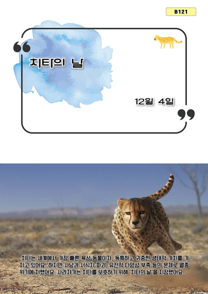 치타의 날