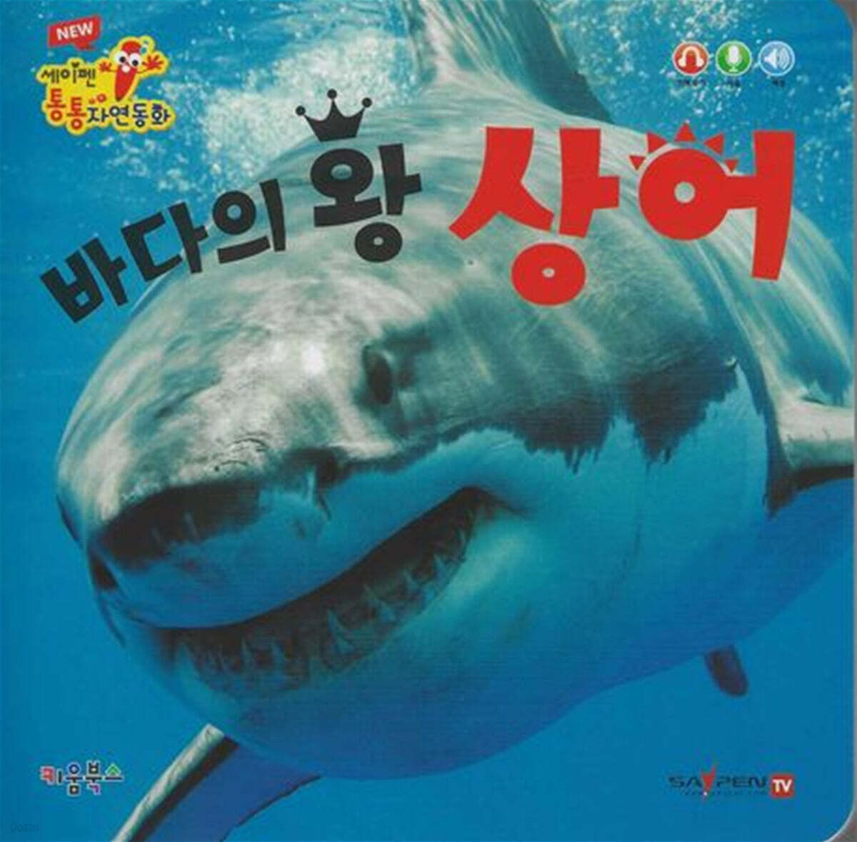 바다의 왕 상어