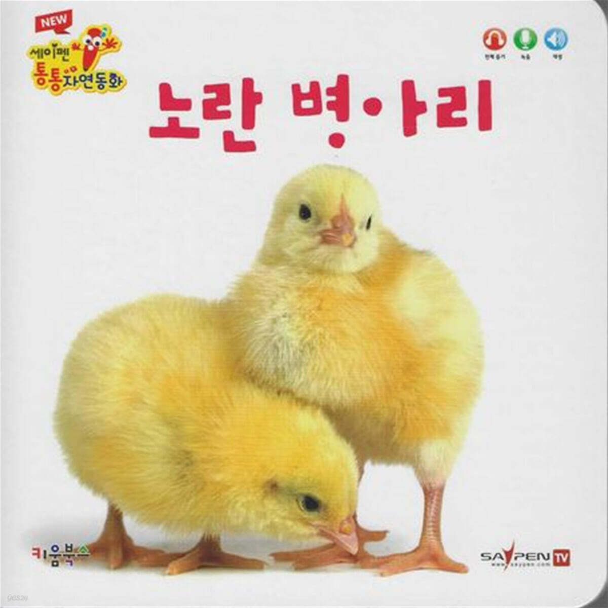 노란 병아리