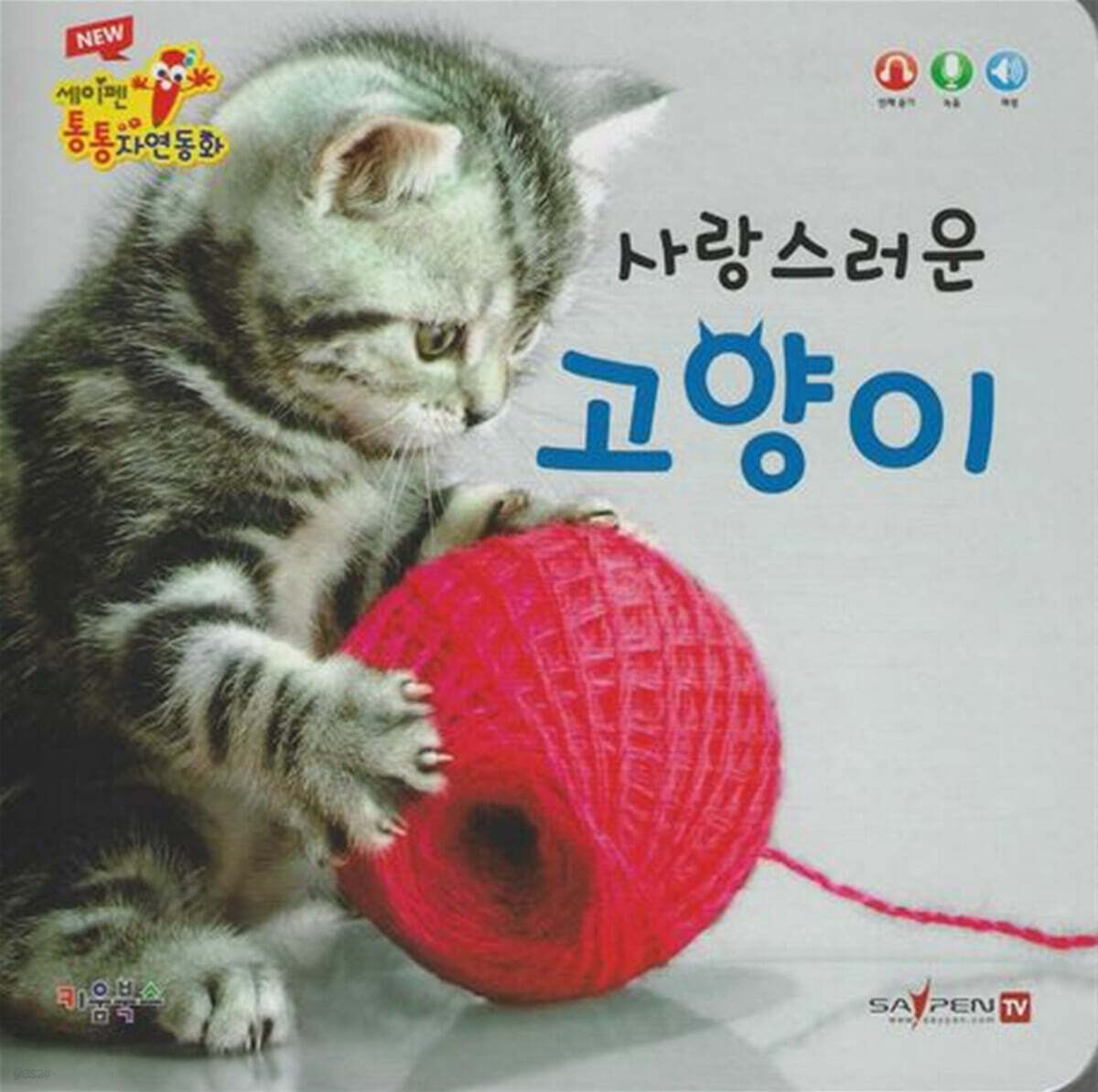 사랑스러운 고양이