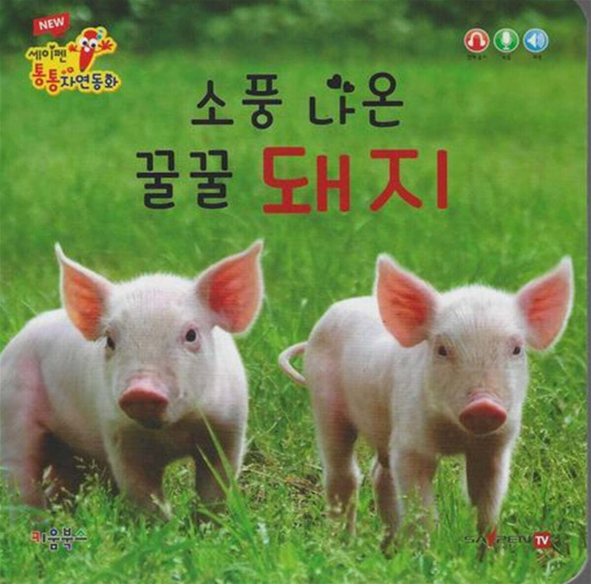 소풍 나온 꿀꿀 돼지