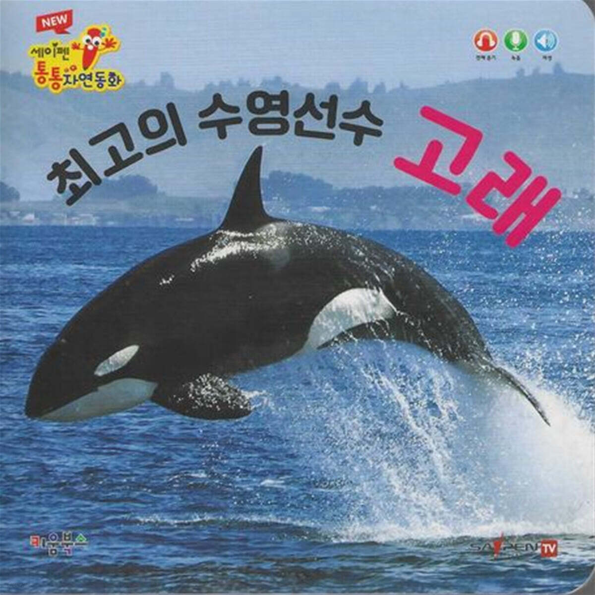 최고의 수영선수 고래