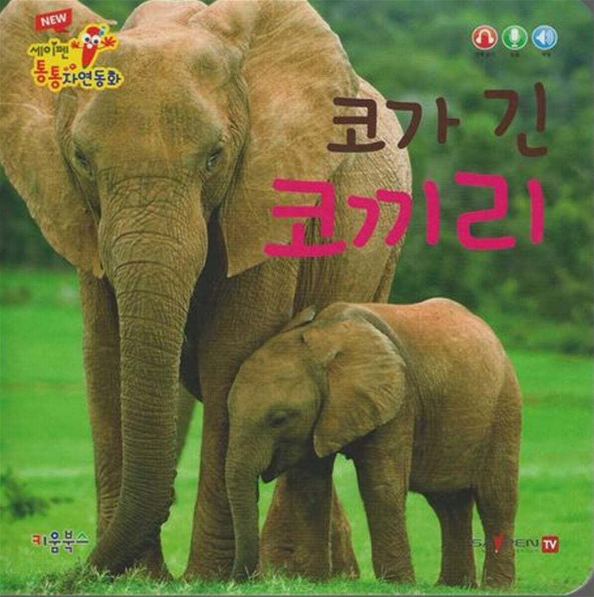 코가 긴 코끼리