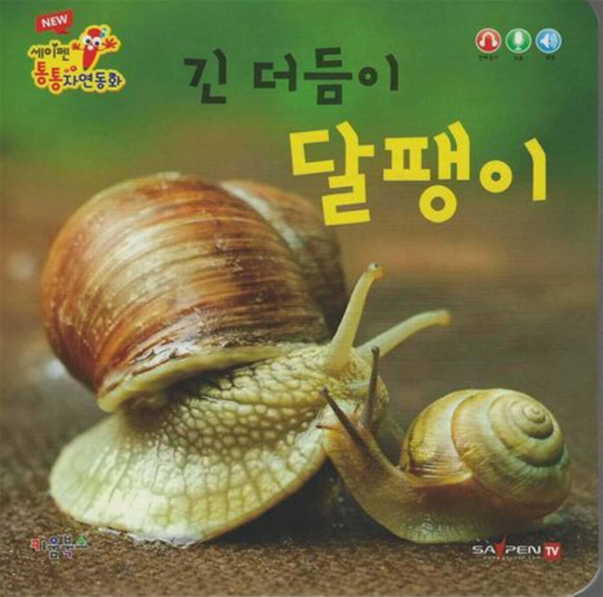 긴 더듬이 달팽이