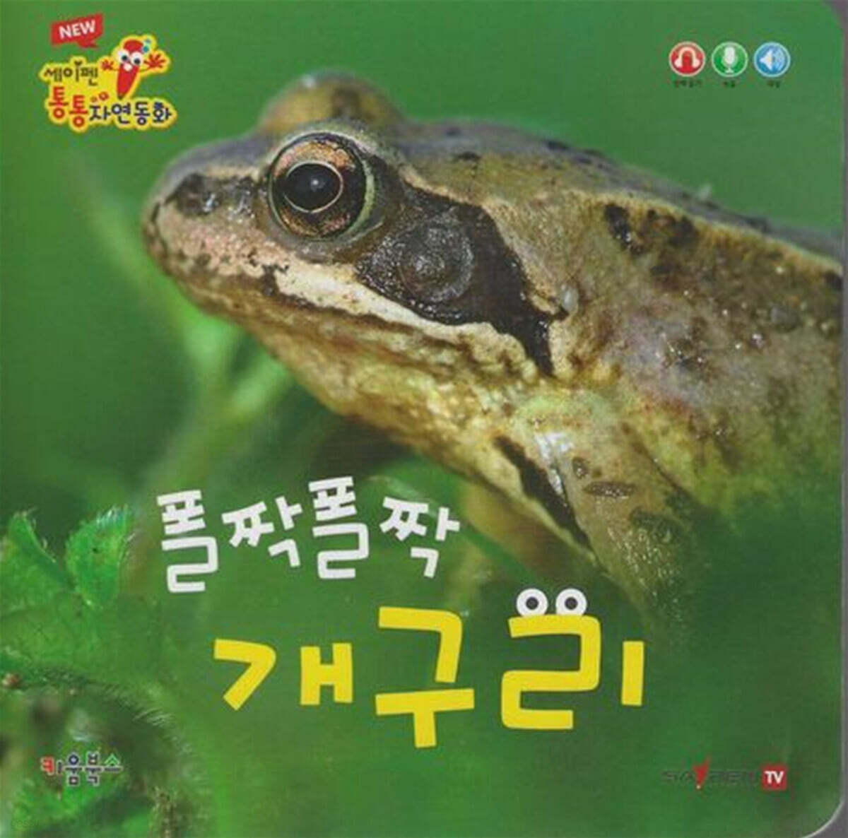 폴짝 폴짝 개구리