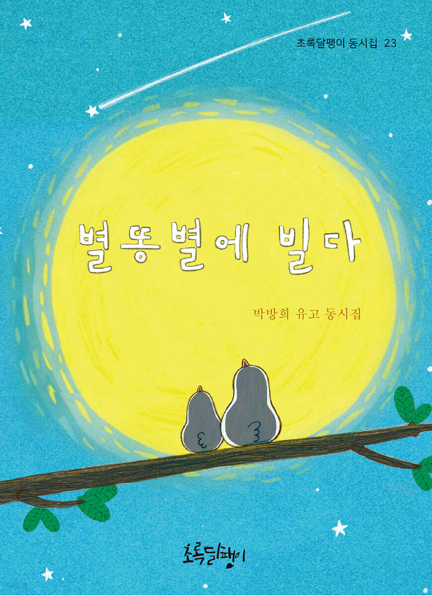 별똥별에 빌다