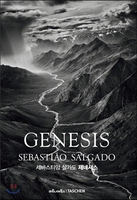 GENESIS ٽƼ 찡 ׽ý