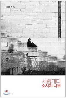 세렝게티 소시지 나무