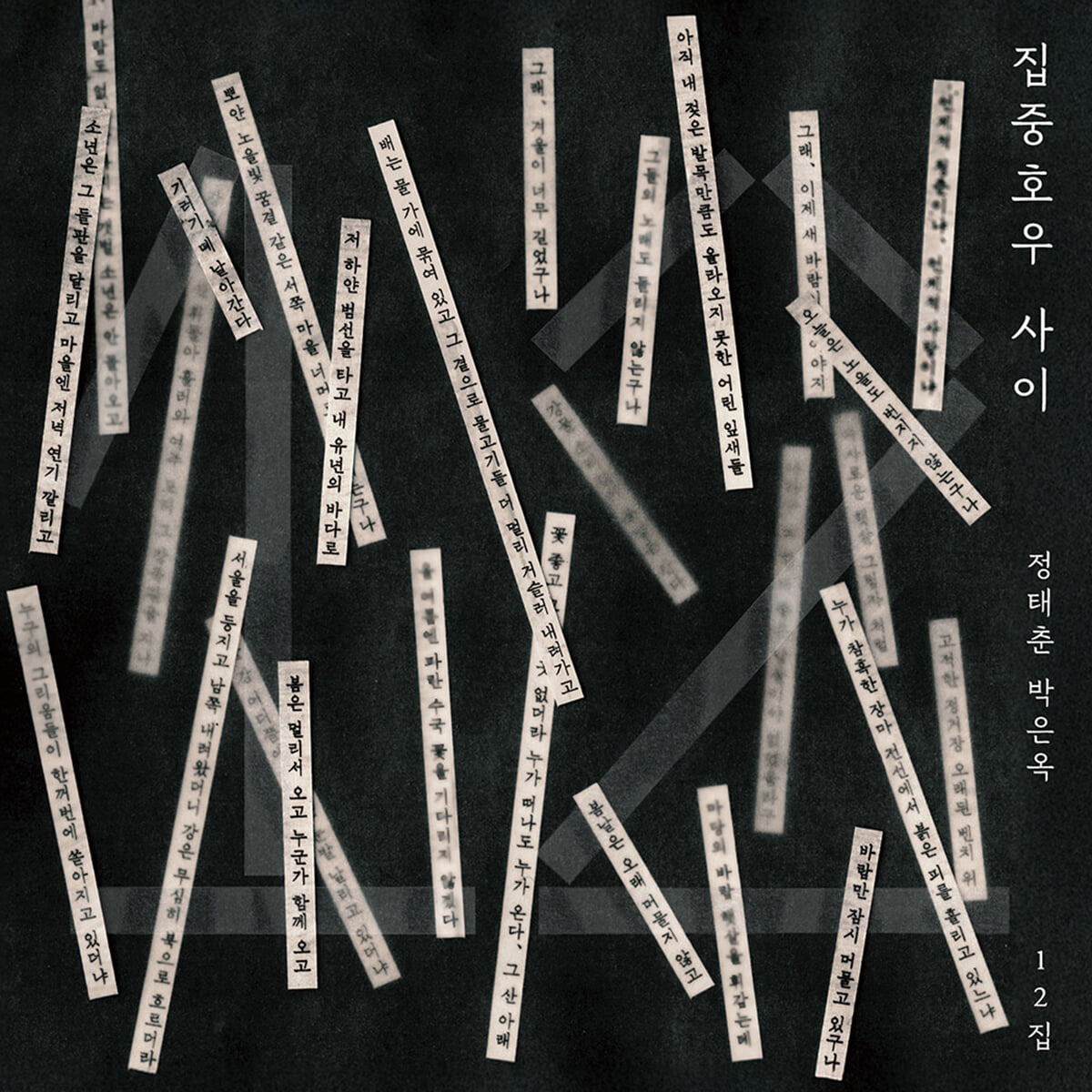 정태춘 박은옥 - 12집 : 집중호우 사이 [LP]