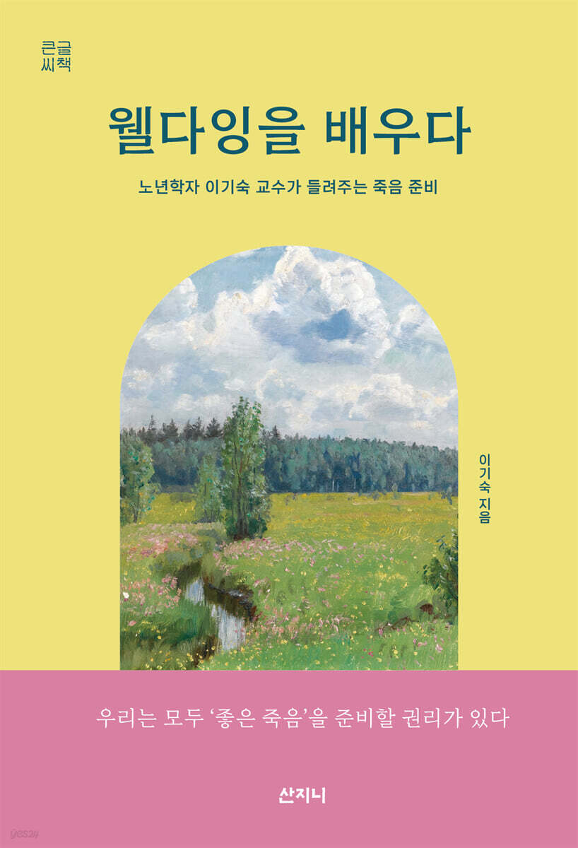웰다잉을 배우다 (큰글씨책)