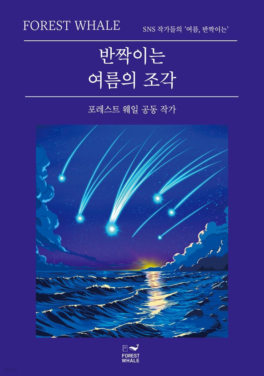 반짝이는 여름의 조각