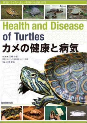 カメの健康と病氣