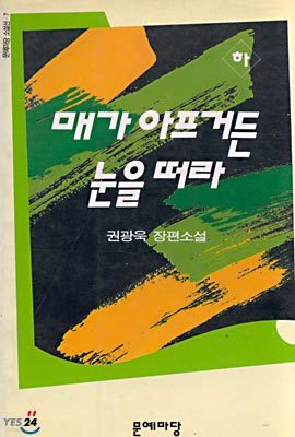 매가 아프거든 눈을 떠라 (하)