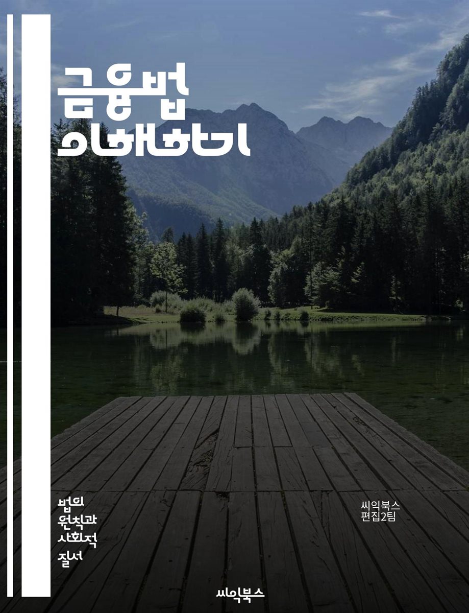 금융법 이해하기 - 금융규제, 자본시장, 투자자 보호, 대출, 금융상품, 법적 책임, 금융기관, 계약법, 소비자 금융, 국제 금융법, 부정행위, 리스크 관리, 금융 기술, 컴플라이언스, 회계 기준, 세무법, 지배구조, 