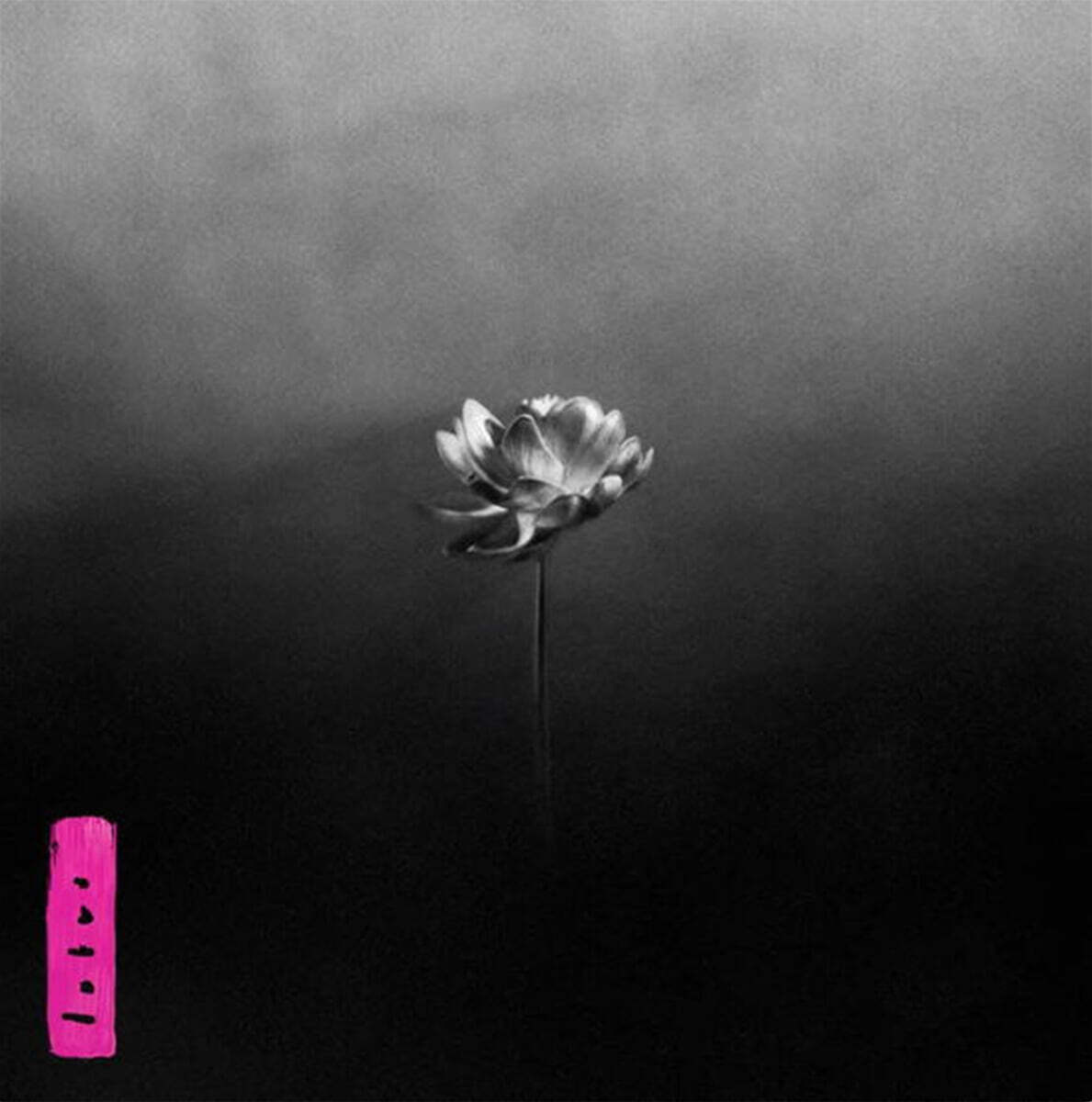 Little Simz (리틀 심즈) - 6집 Lotus [2LP]