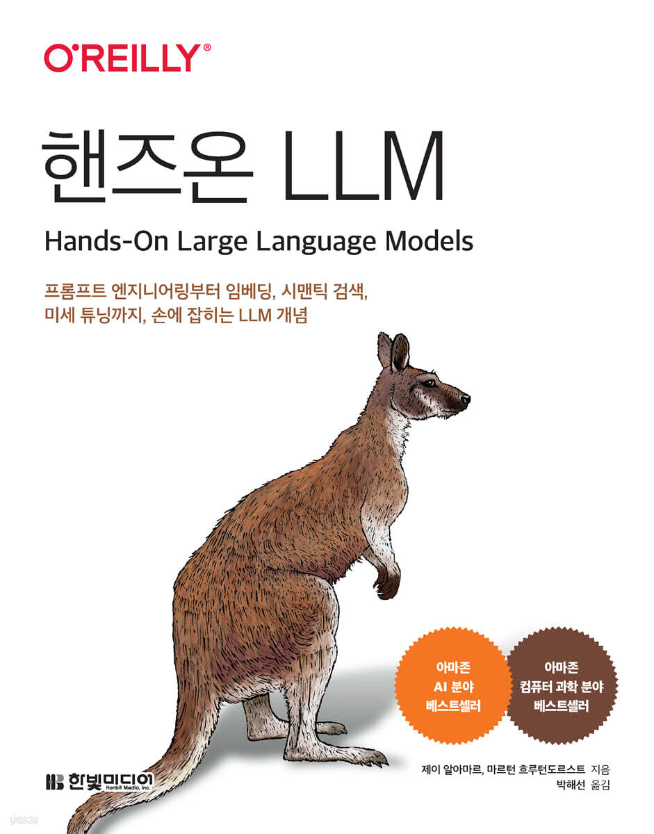핸즈온 LLM