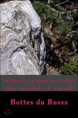 stillness is a great dance step: The world at Small