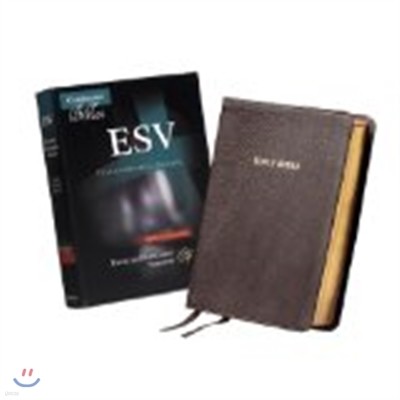 Clarion Reference Bible-ESV